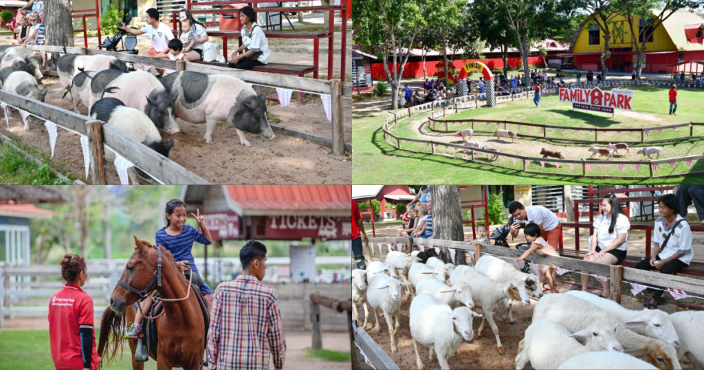 Pattaya Sheep Farm